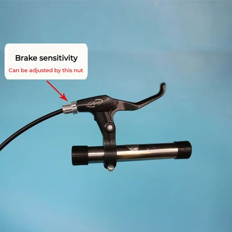 Car Co-Driver Auxiliary Brake  – Power Tools Training recenzja i cena